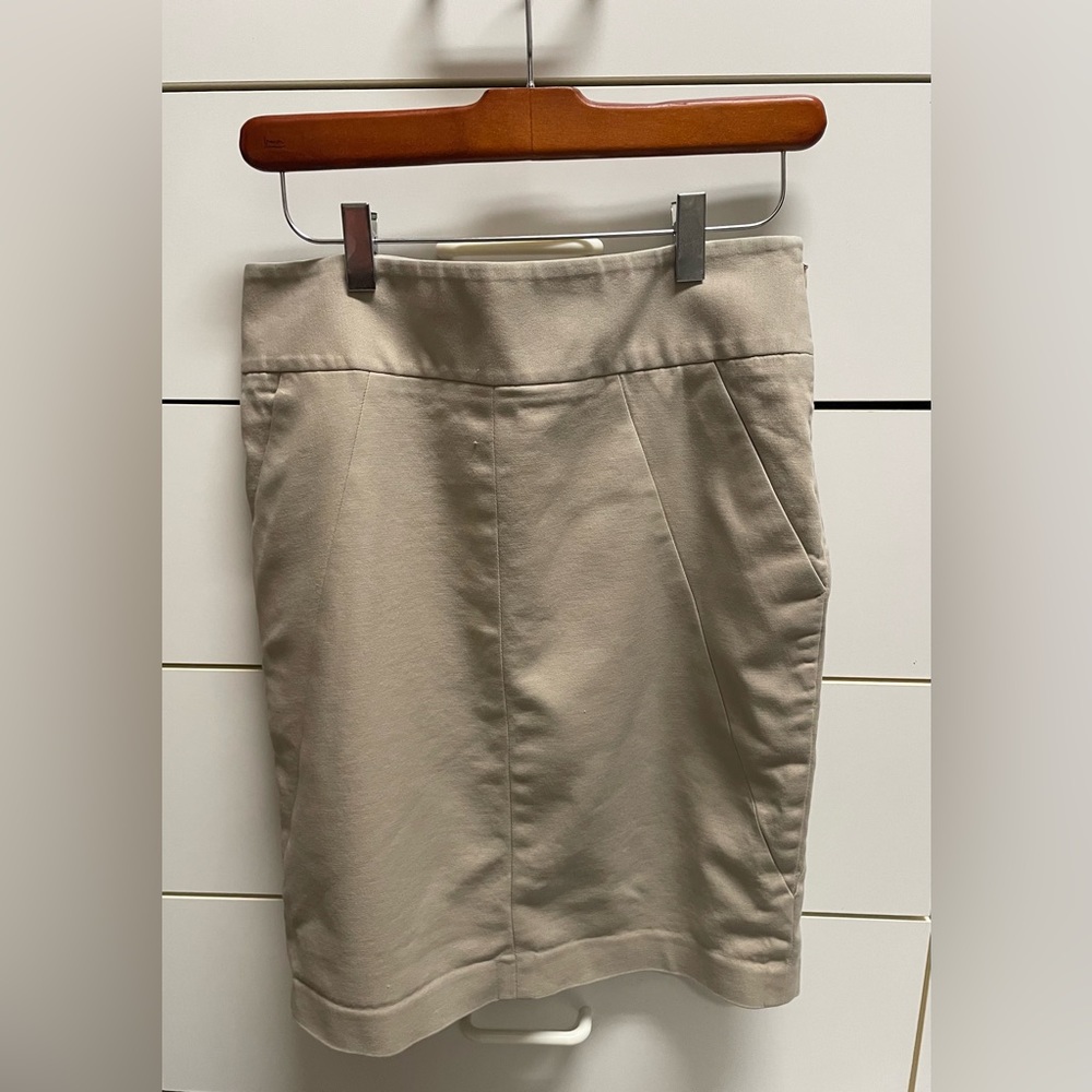 The Limited Skirt